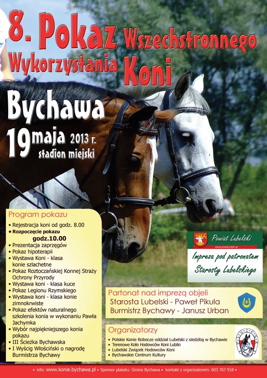 2013-05-15 plakat konie bychawa 550