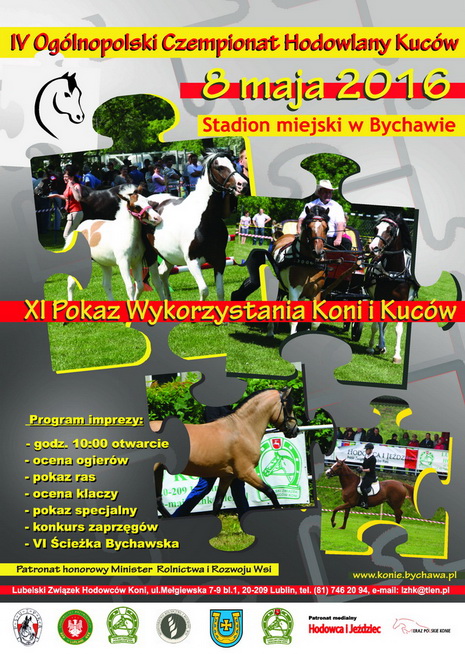 2016-05-08 pokaz koni bychawa